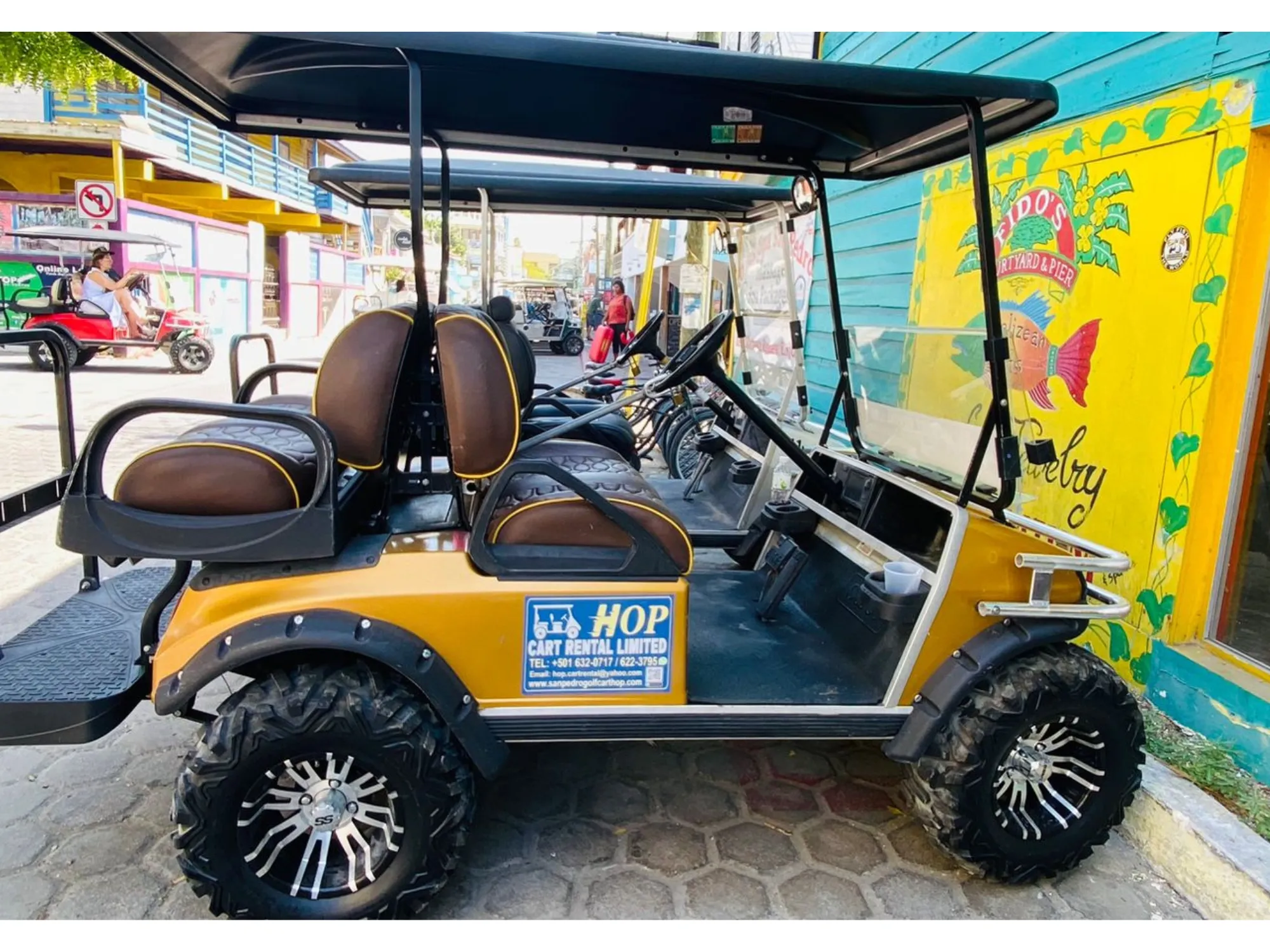 Hop Golf Carts Rental